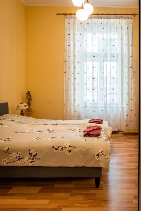 Casa Max Διαμέρισμα Τιμισοάρα Εξωτερικό φωτογραφία